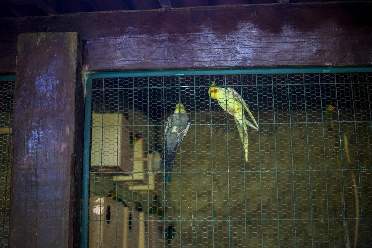 Hotel Casa Grande Gravata エクステリア 写真